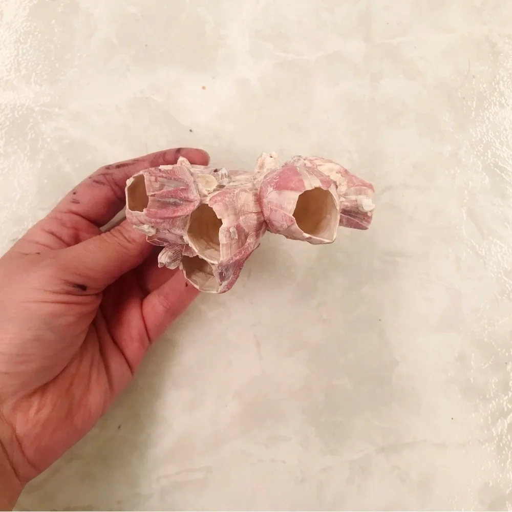 Custom shell bundle — PLEASE READ